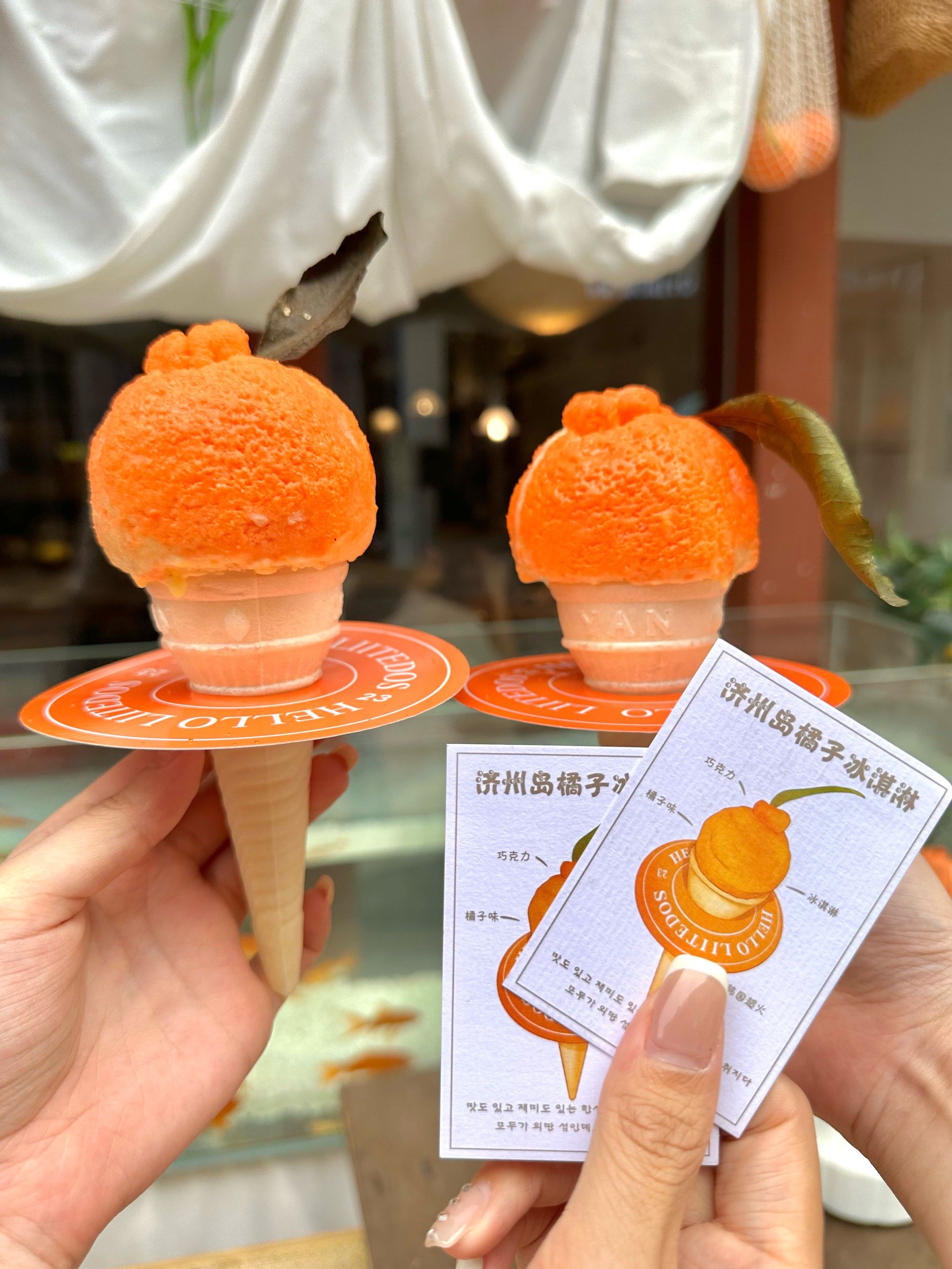 晋江的!济州岛同款橘子冰淇淋!