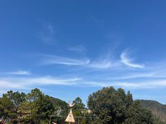 -杭州长乔极地海洋公园