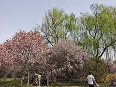-洛阳市隋唐城遗址植物园