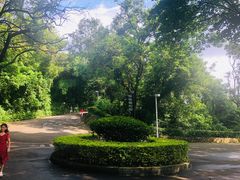 -中山公园(石岐街道)