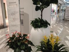 -济南恒隆广场