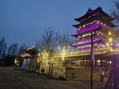 -祥源·阜阳生态乐园