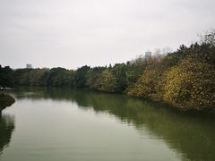 -海珠湖公园