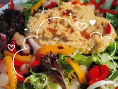 -Tubestation站点比萨(五道营店)