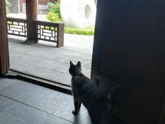 -台儿庄古城