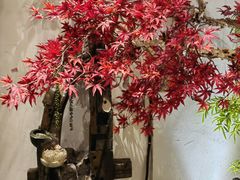 -湘厨壹品(芙蓉广场店)
