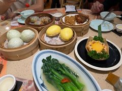 -点都德(千灯湖环宇城店)