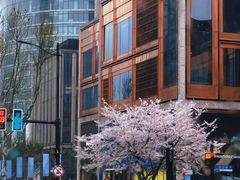 -上海外滩英迪格酒店