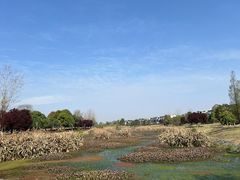 -两河城市森林公园