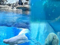-珠海长隆海洋王国