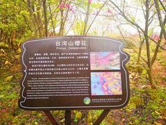 -福清灵石山国家森林公园