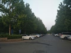 -北京鸿华高尔夫练习场