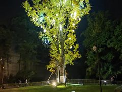 -青城道汤池