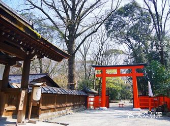日本旅行 | 想要变美，一定要来这个神社