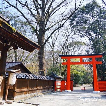 日本旅行 | 想要变美，一定要来这个神社