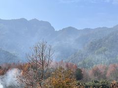 -塔川景区