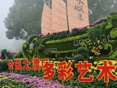 -南山植物园