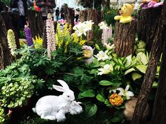 上海鲜花港-上海鲜花港