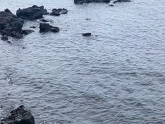 -龙头岩(Dragon Head Rock)