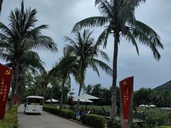 -亚龙湾国际玫瑰谷
