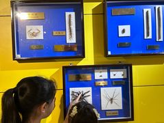 -上海昆虫博物馆