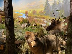 -陕西自然博物馆