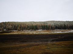 -塞罕坝国家级自然保护区