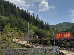 -芦芽山旅游度假区