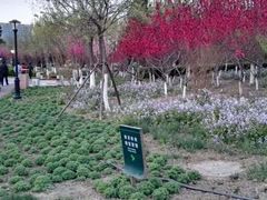 -绿岛公园(滨海新区)