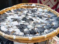 -四条大桥