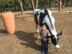 -大宁灵石公园西门票处