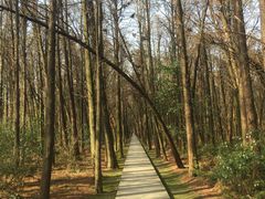 -同里国家湿地公园