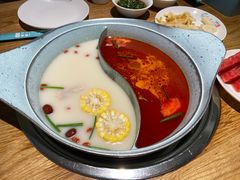 -青瓷火锅料理(西单大悦城店)