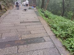 -普陀山风景区-佛顶山