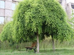 -大连东软信息学院(软件园校区)