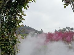 -玫瑰庄园·自助烧烤·烤全羊·团建拓展(龙泉山店)