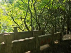 -莫干山风景区