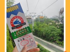 -富斯特索道