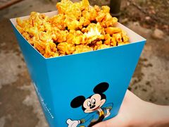 -迪士尼火鸡腿