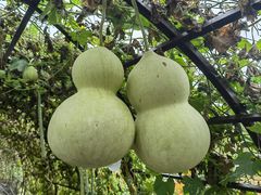 -中国天府农业博览园