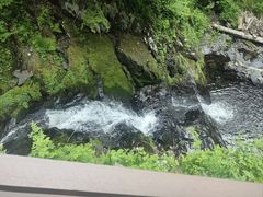 -凤凰山国家森林公园