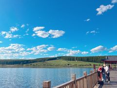 -塞罕坝国家级自然保护区