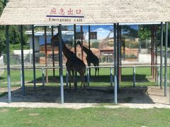 -西安秦岭野生动物园