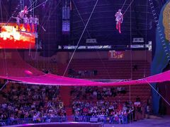 -俄罗斯国家大马戏团