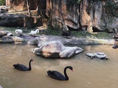 -燕塞湖鸟语林景区