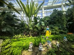 -石家庄市植物园