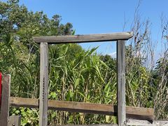 -海南霸王岭国家森林公园