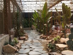 -桉树林A coffee 森林餐厅(三圣乡店)