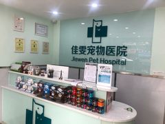 -佳雯宠物医院(金华南路分院)