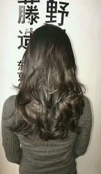 点击看大图 -藤野造型